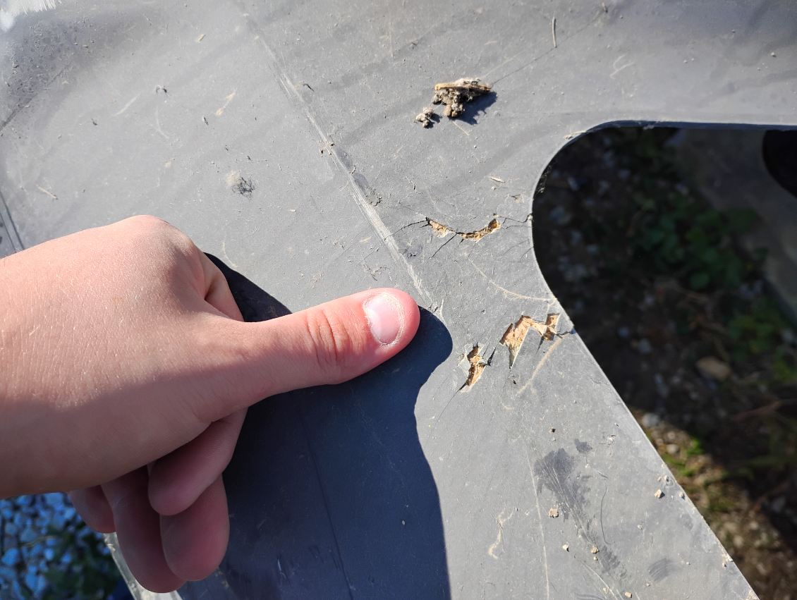 Freightliner 108SD SBA Hood, w/Access Door, OEM Take Off, U1315