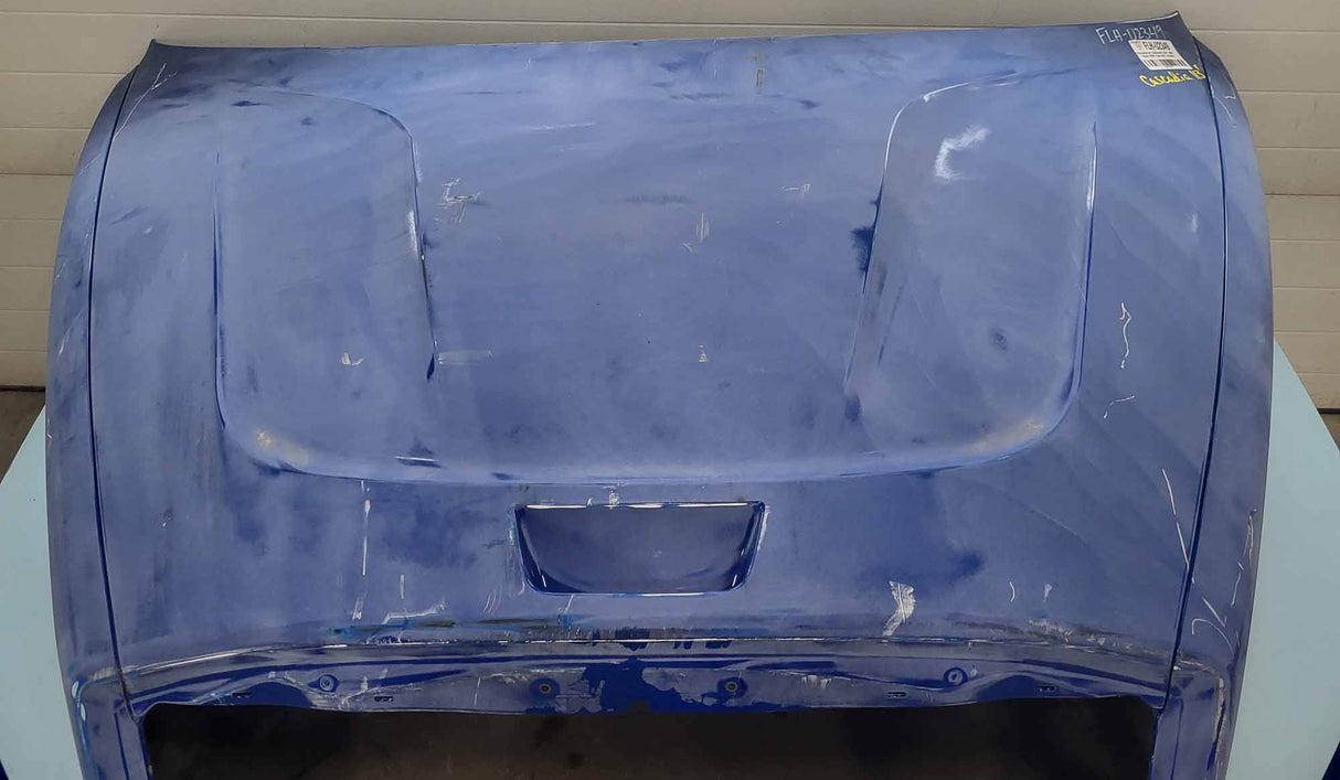 Freightliner Cascadia Hood 116" BBC, OEM Take Off, U2349