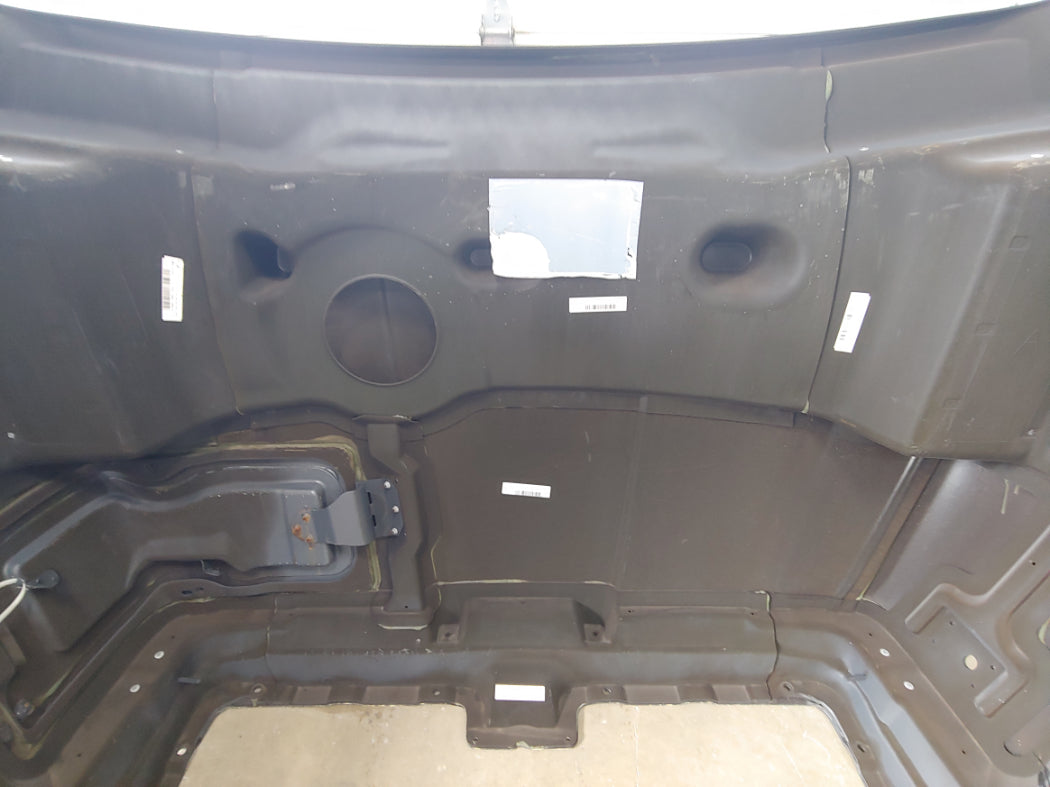 Western Star 49X OEM take off hood.