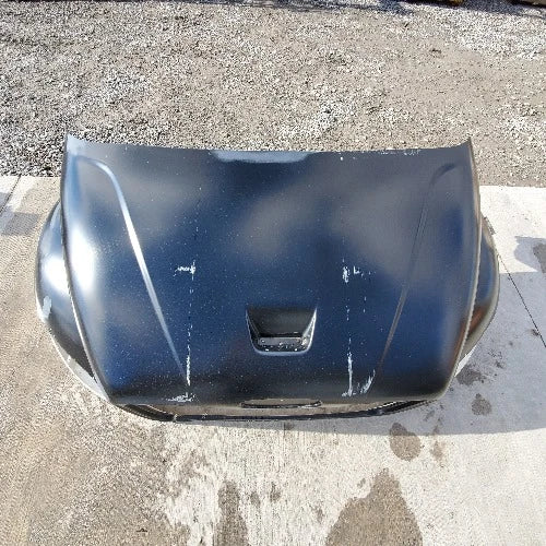 Freightliner M2 106 *Cosmetic Blemish OEM Hood #2102