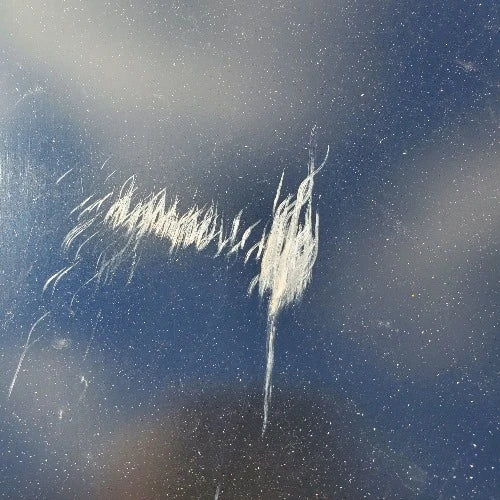 Freightliner M2 106 *Cosmetic Blemish OEM Hood #2102