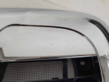 Freightliner Century Grill, Cosblem, With Bug Screen Includes Attachment